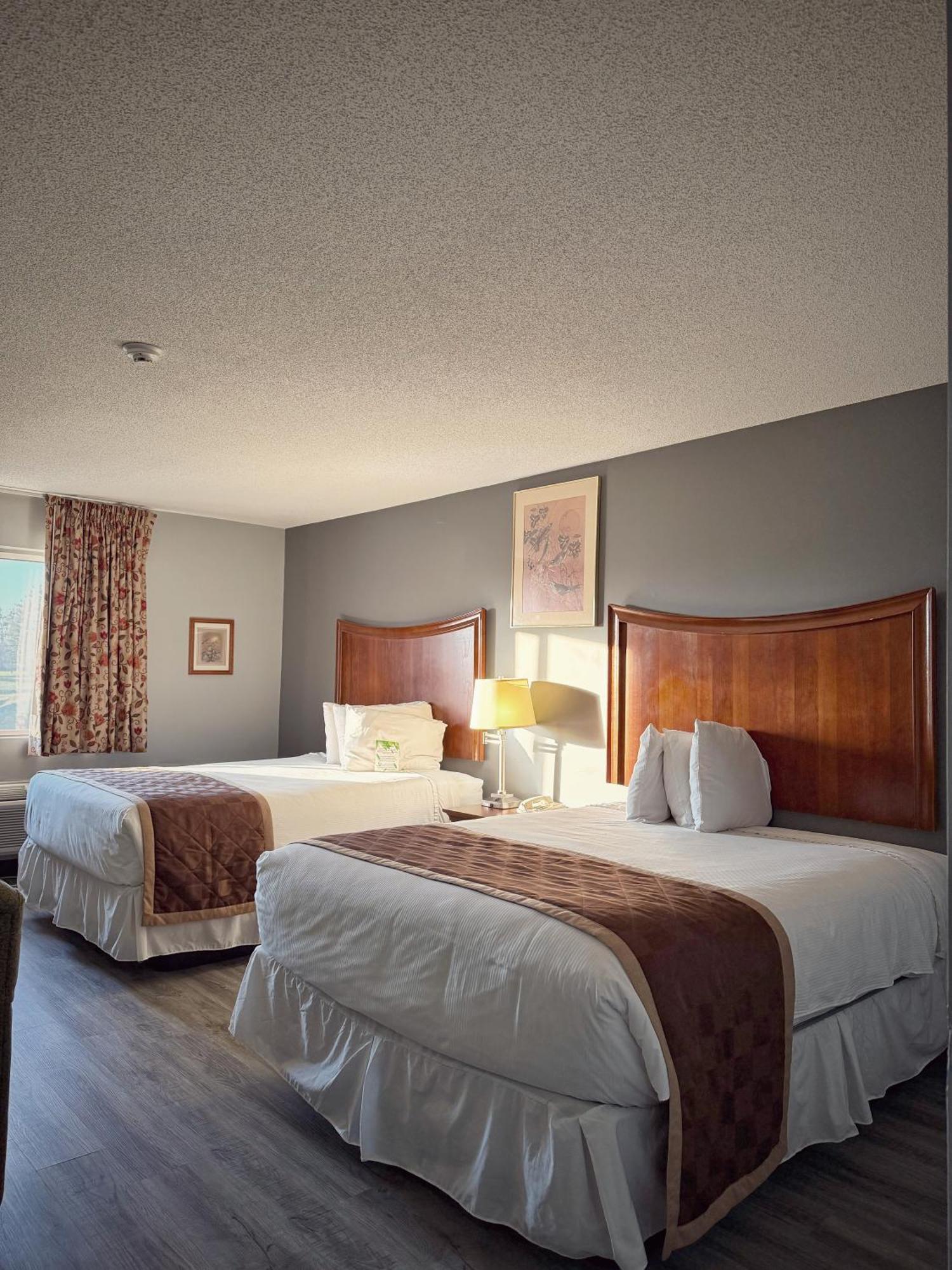 Lake Tree Inn & Suites Marion Buitenkant foto